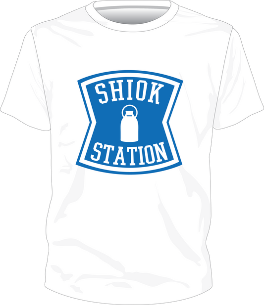 Shiok Station